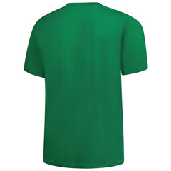 Minnesota Vikings Fanatics Big & Tall Celtic T-Shirt