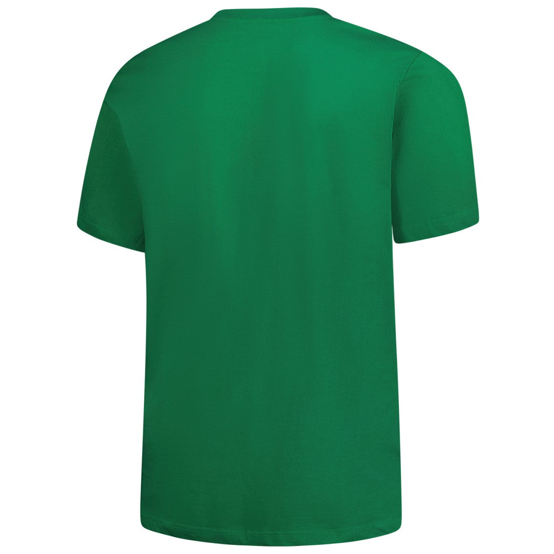 Detroit Lions Fanatics Big & Tall Celtic T-Shirt