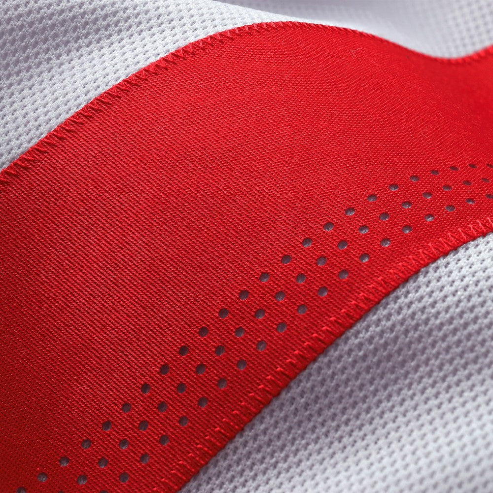 Detroit Red Wings Fanatics 2025 NHL Stadium Series Premium Jersey On Sale