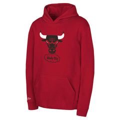 Chicago Bulls Preschool Retro Logo Pullover Hoodie For Sale