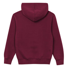 Washington Commanders  Outerstuff Preschool Back to Basics Hoodie