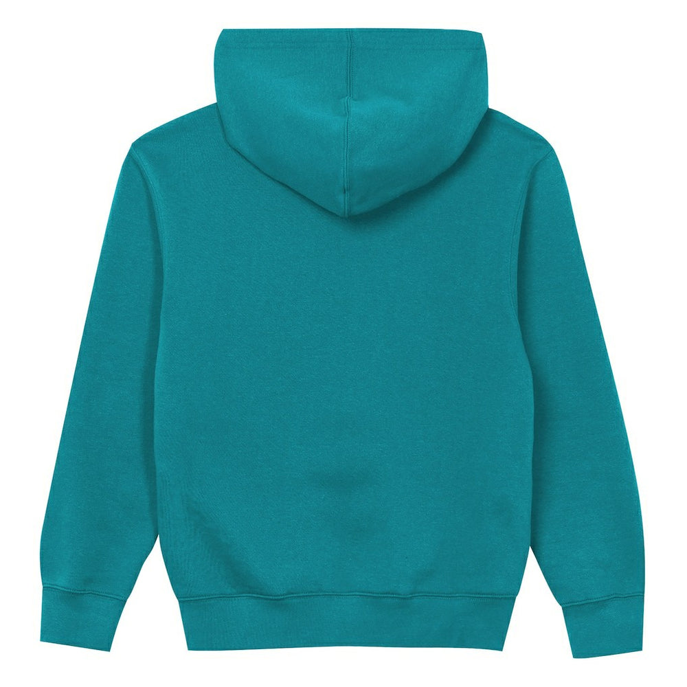 Miami Dolphins  Outerstuff Preschool Back to Basics Hoodie