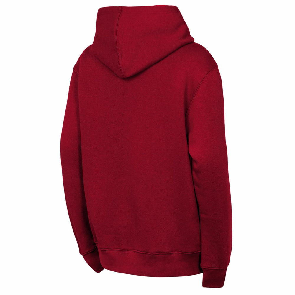 Tampa Bay Buccaneers  Outerstuff Youth Back to Basics Hoodie