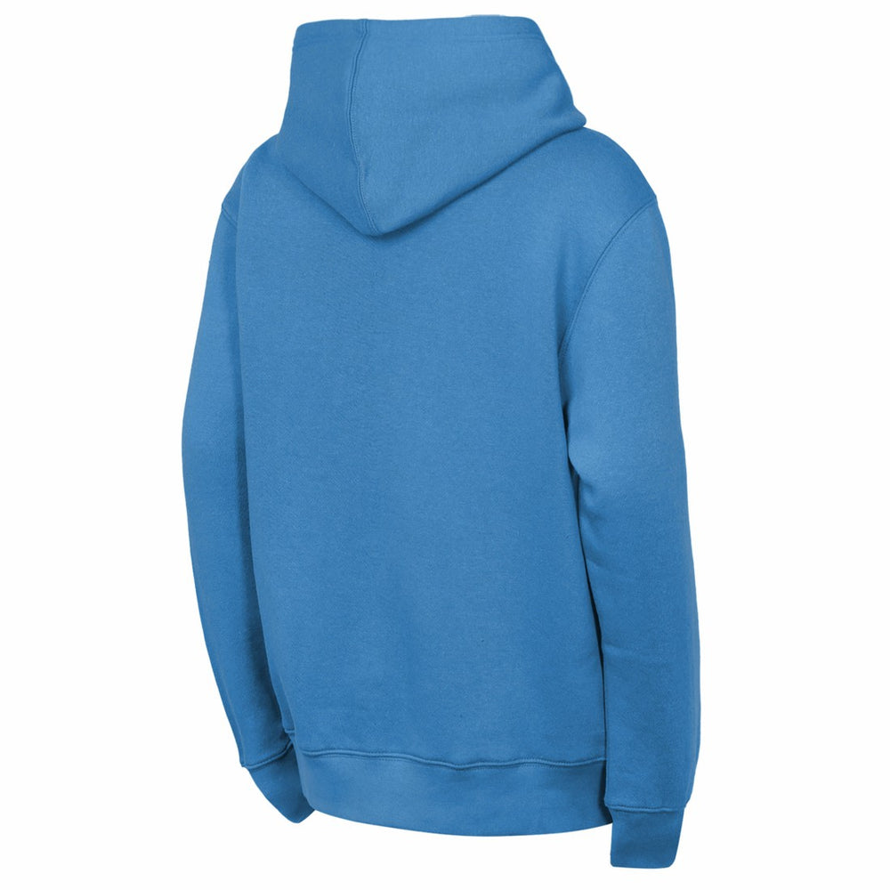 Tennessee Titans  Outerstuff Youth Back to Basics Hoodie