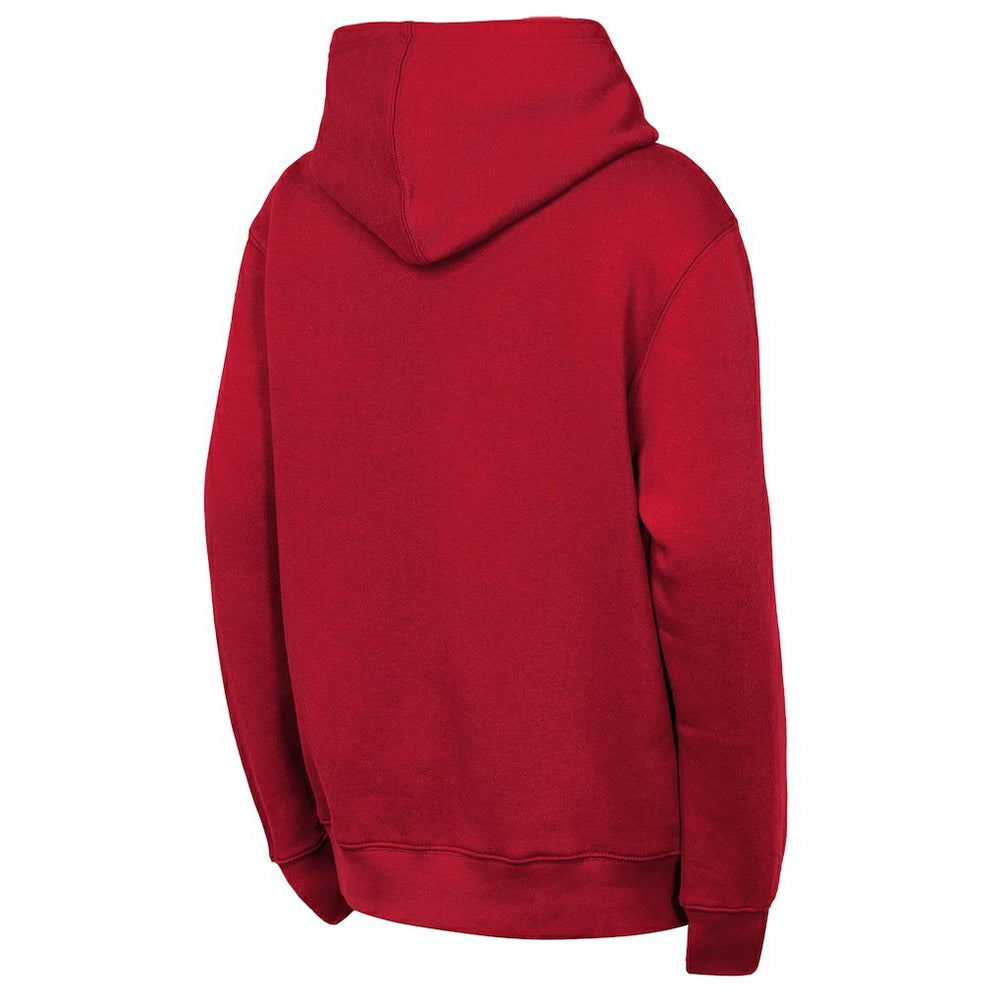 Atlanta Falcons  Outerstuff Youth Back to Basics Hoodie