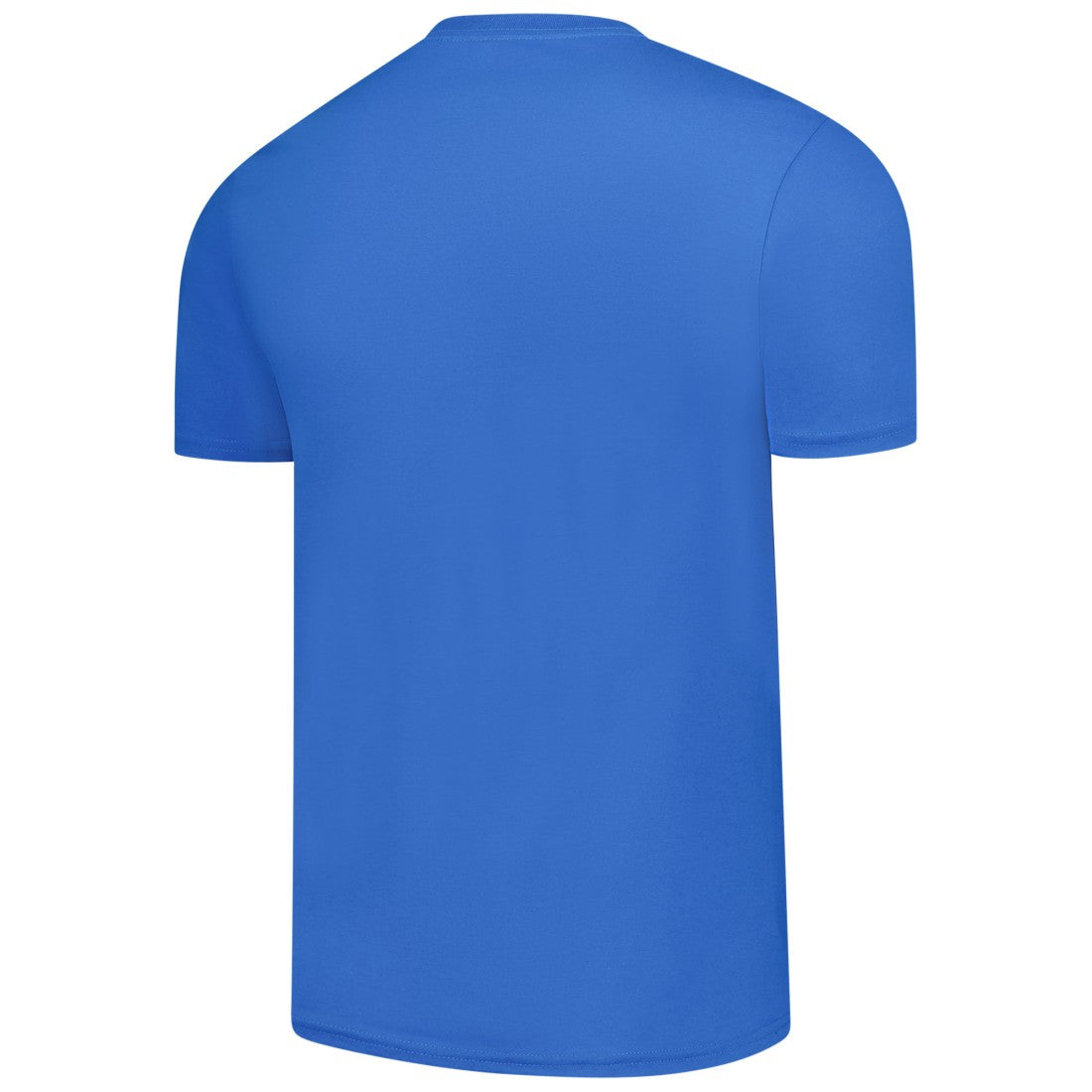 Detroit Lions  Best Dad Father's Day T-Shirt