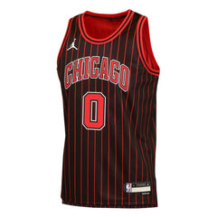Coby White Chicago Bulls Jordan Brand Youth Swingman Jersey sale For Sale