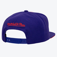 Toronto Raptors Color Pop Snapback Hat On Sale