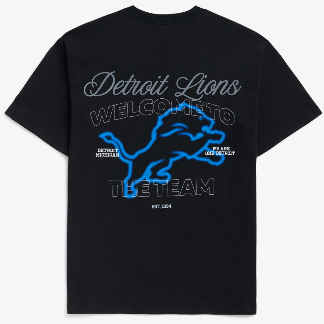 Detroit Lions  Off Season x NFL Unisex Graphic T-Shirt