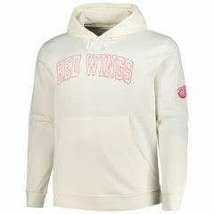 Detroit Red Wings Fanatics Big &Tall Stitch Hoodie For Sale