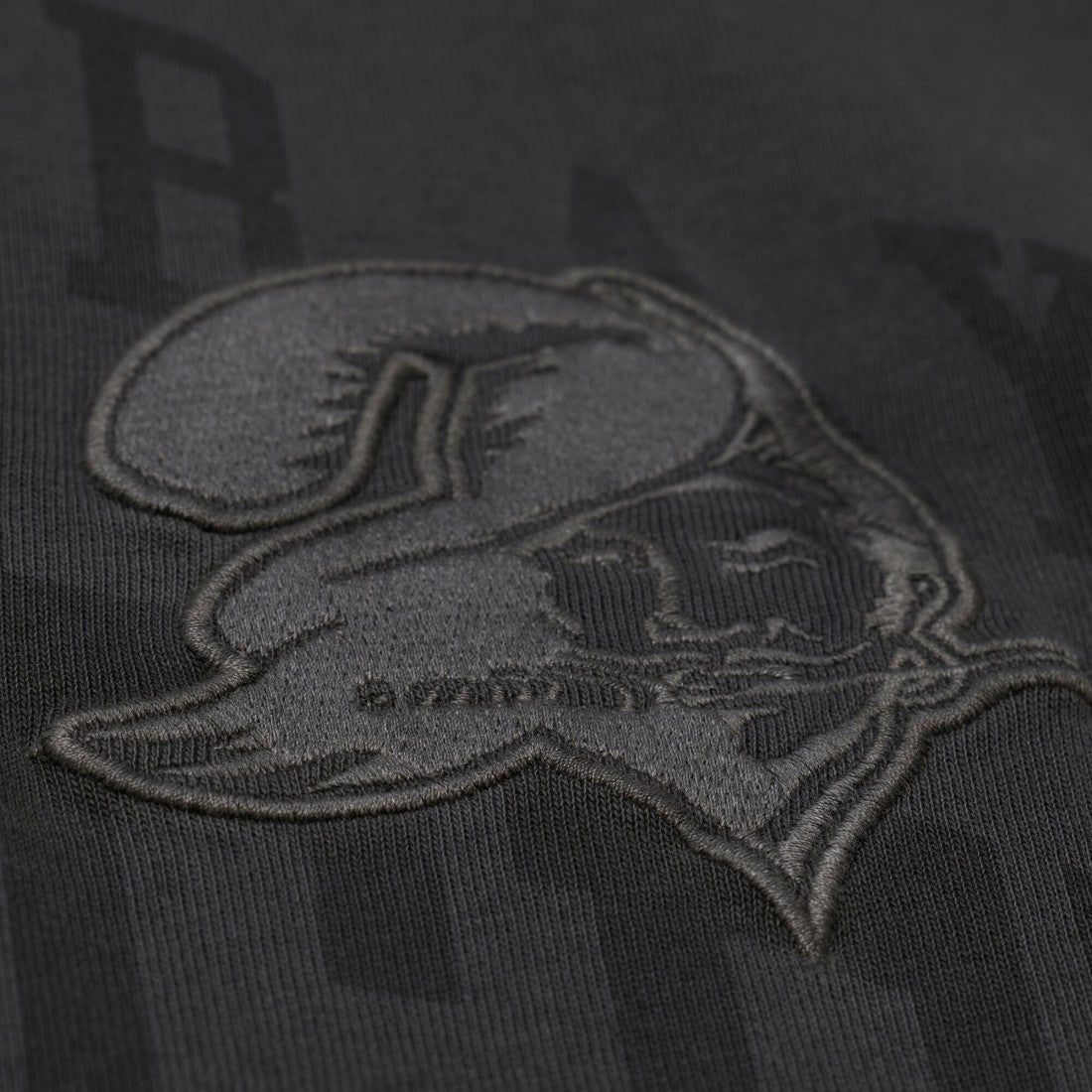 Tampa Bay Buccaneers Mitchell & Ness Downtown Collection Premium Vintage Logo T-Shirt