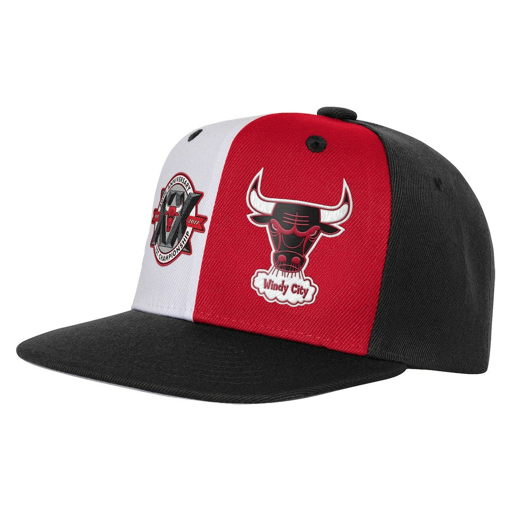 Chicago Bulls Youth 20th Anniversary Duo Front Snapback Hat Discount