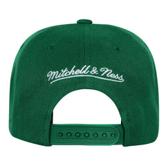 Boston Celtics Youth Anniversary Duo Front Snapback Hat Online