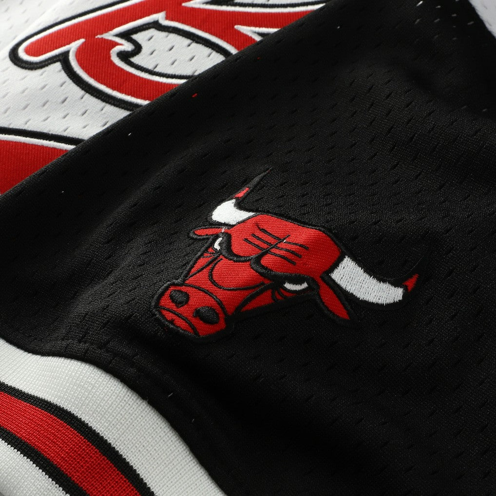 Scottie Pippen Chicago Bulls Player Mesh V-Neck Shirt sale New