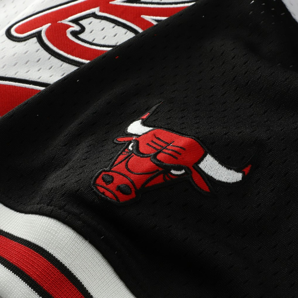 Scottie Pippen Chicago Bulls Player Mesh V-Neck Shirt sale New