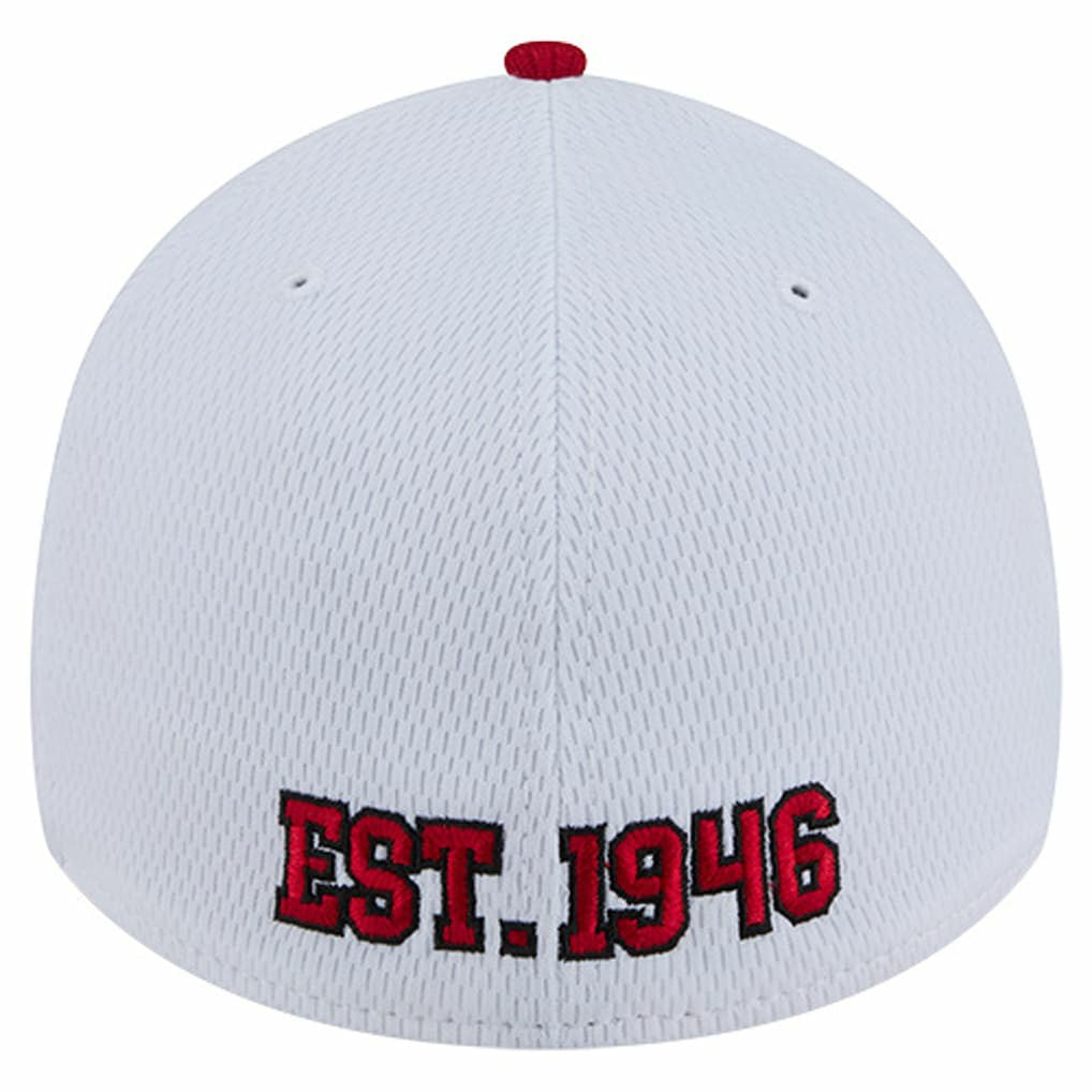 San Francisco 49ers New Era Dashmark Rays 39THIRTY Flex Hat