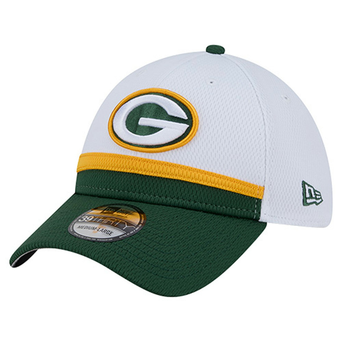 Green Bay Packers New Era Dashmark Rays 39THIRTY Flex Hat