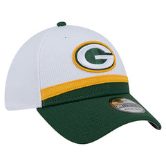 Green Bay Packers New Era Dashmark Rays 39THIRTY Flex Hat