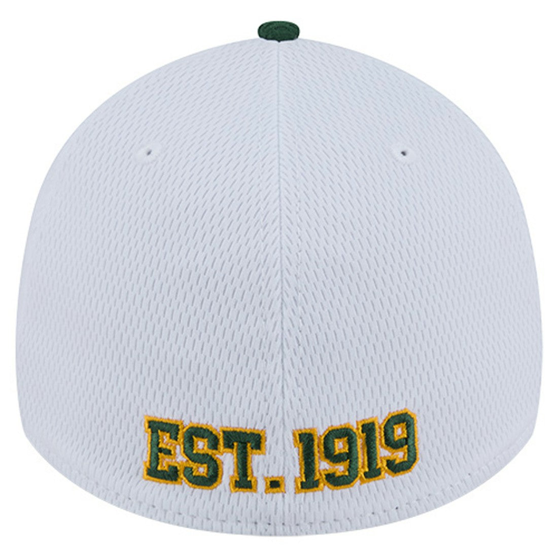 Green Bay Packers New Era Dashmark Rays 39THIRTY Flex Hat