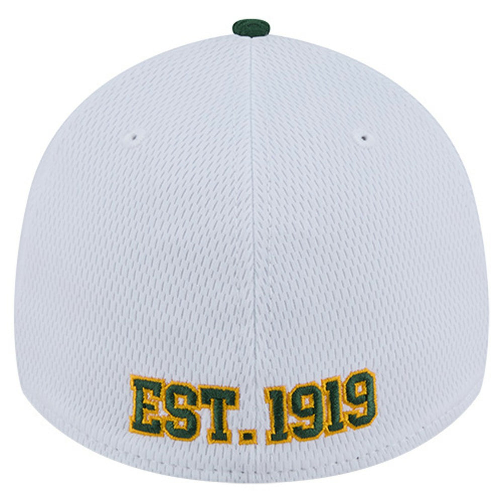 Green Bay Packers New Era Dashmark Rays 39THIRTY Flex Hat
