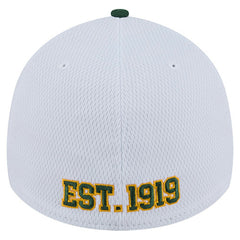 Green Bay Packers New Era Dashmark Rays 39THIRTY Flex Hat
