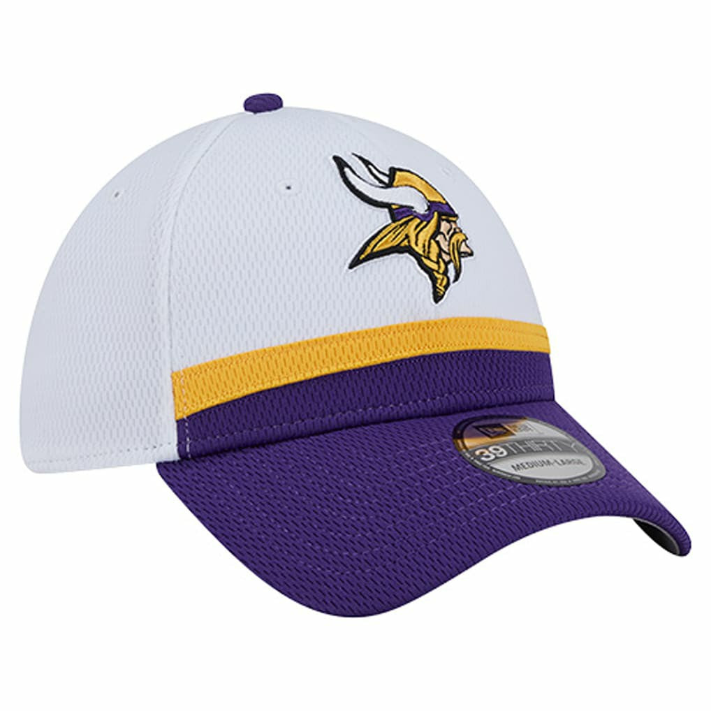 Minnesota Vikings New Era Dashmark Rays 39THIRTY Flex Hat