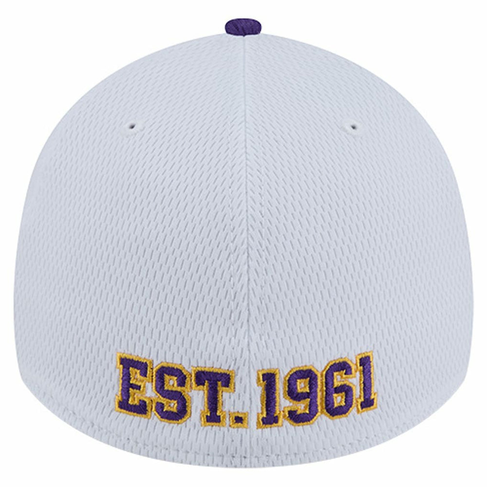 Minnesota Vikings New Era Dashmark Rays 39THIRTY Flex Hat