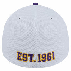 Minnesota Vikings New Era Dashmark Rays 39THIRTY Flex Hat