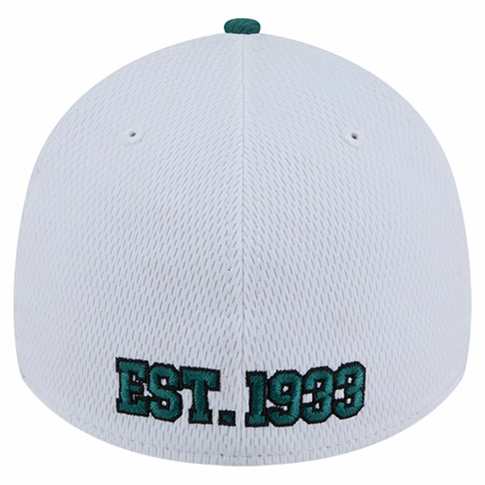 Philadelphia Eagles New Era Dashmark Rays 39THIRTY Flex Hat