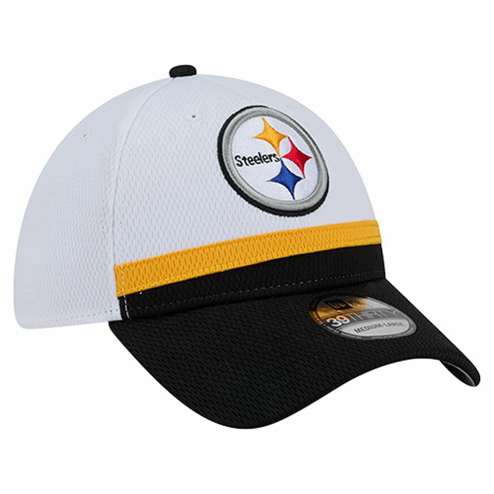 Pittsburgh Steelers New Era Dashmark Rays 39THIRTY Flex Hat