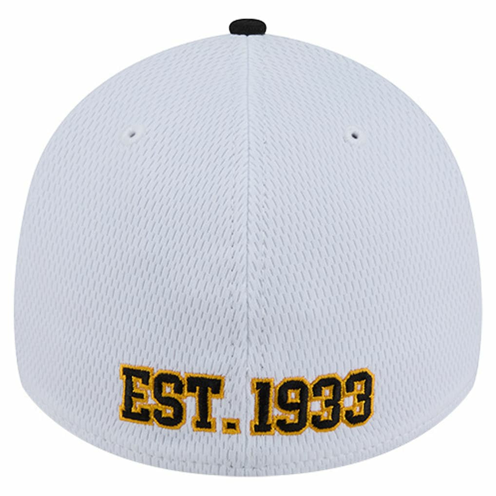 Pittsburgh Steelers New Era Dashmark Rays 39THIRTY Flex Hat