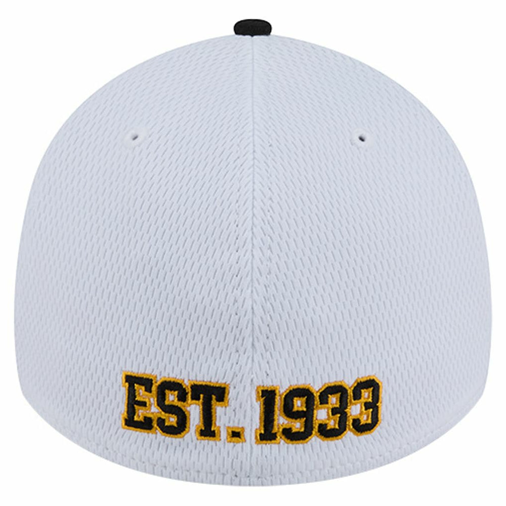 Pittsburgh Steelers New Era Dashmark Rays 39THIRTY Flex Hat