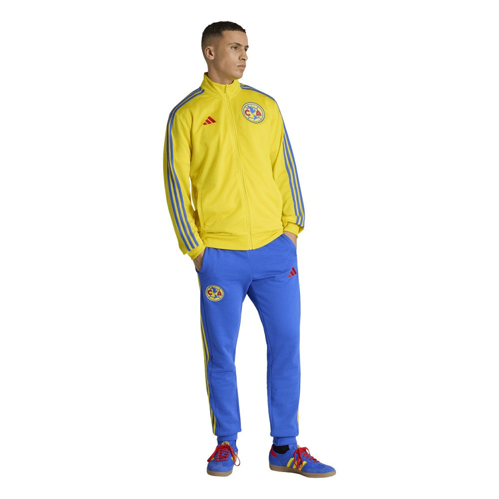 Club America 2025/26 DNA Alphaskin Full-Zip Track Jacket Yellow - Adidas