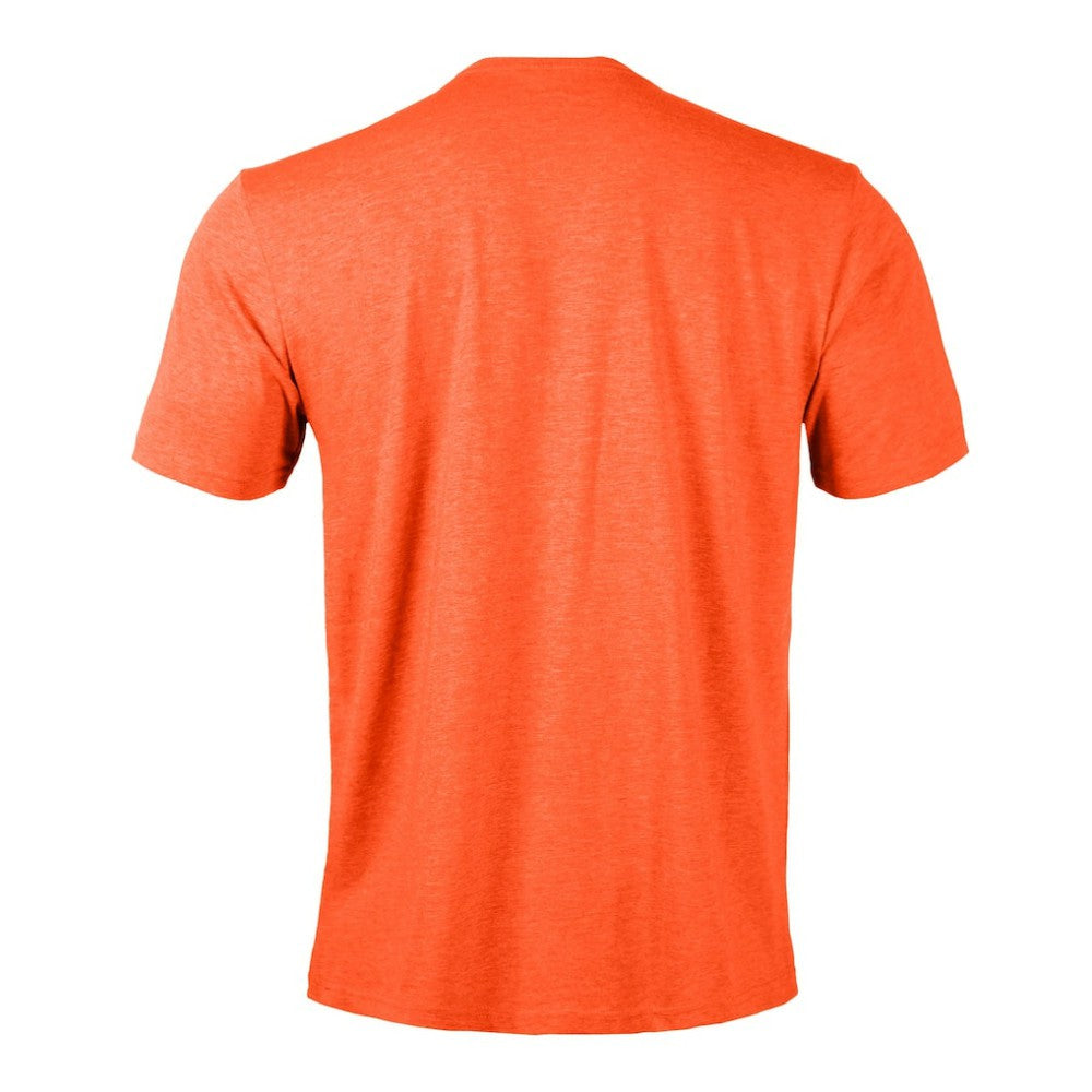Anaheim Ducks Levelwear Richmond Banner Arch T-Shirt Sale