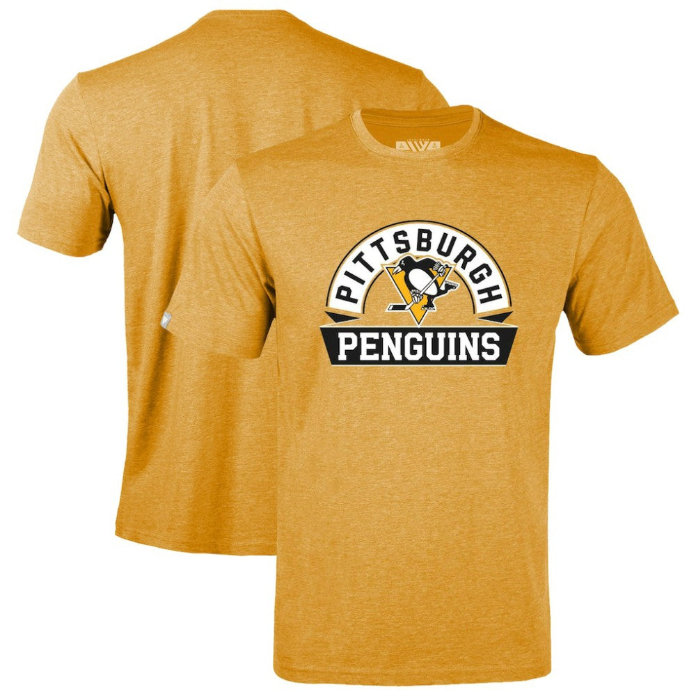 Pittsburgh Penguins Levelwear Youth Little Richmond Banner Arch T-Shirt Outlet