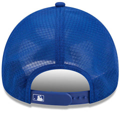 New York Mets New Era 2026 Batting Practice Alternate Apex 9FORTY Adjustable Hat | MLB Outlet
