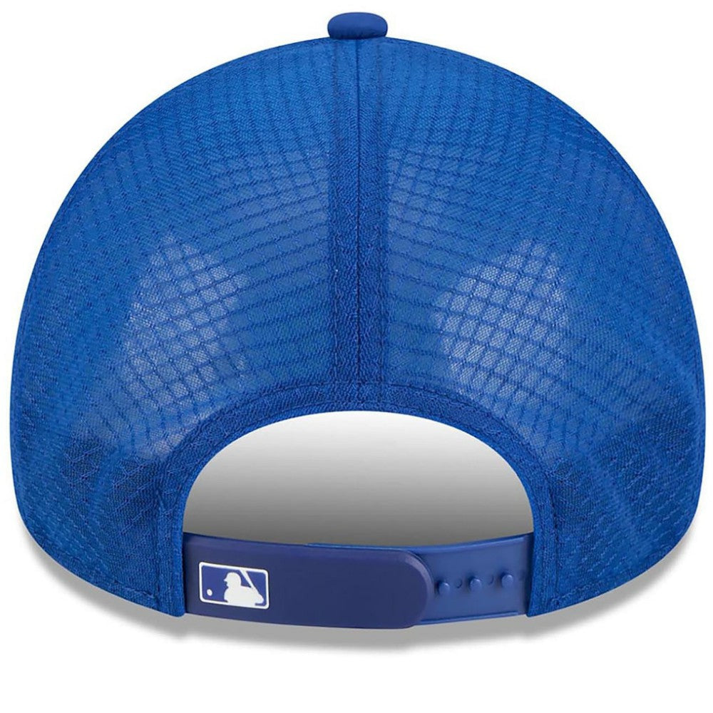 New York Mets New Era 2026 Batting Practice Alternate Apex 9FORTY Adjustable Hat | MLB Sale
