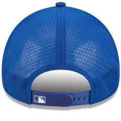New York Mets New Era 2026 Batting Practice Alternate Apex 9FORTY Adjustable Hat | MLB Sale