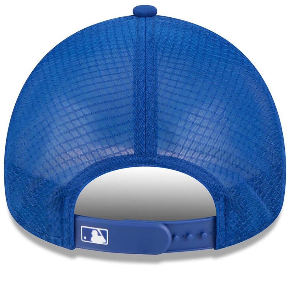 Chicago Cubs New Era 2026 Batting Practice Alternate Apex 9FORTY Adjustable Hat | MLB On Sale