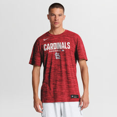 St. Louis Cardinals Nike Authentic Collection Velocity Dri-FIT T-Shirt | MLB Sale