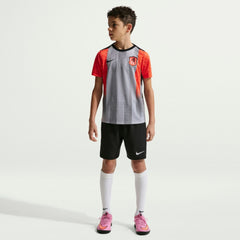 Chelsea Youth 2025/26 Academy Pro Pre-Match Top Gray - Nike