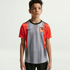 Chelsea Youth 2025/26 Academy Pro Pre-Match Top Gray - Nike
