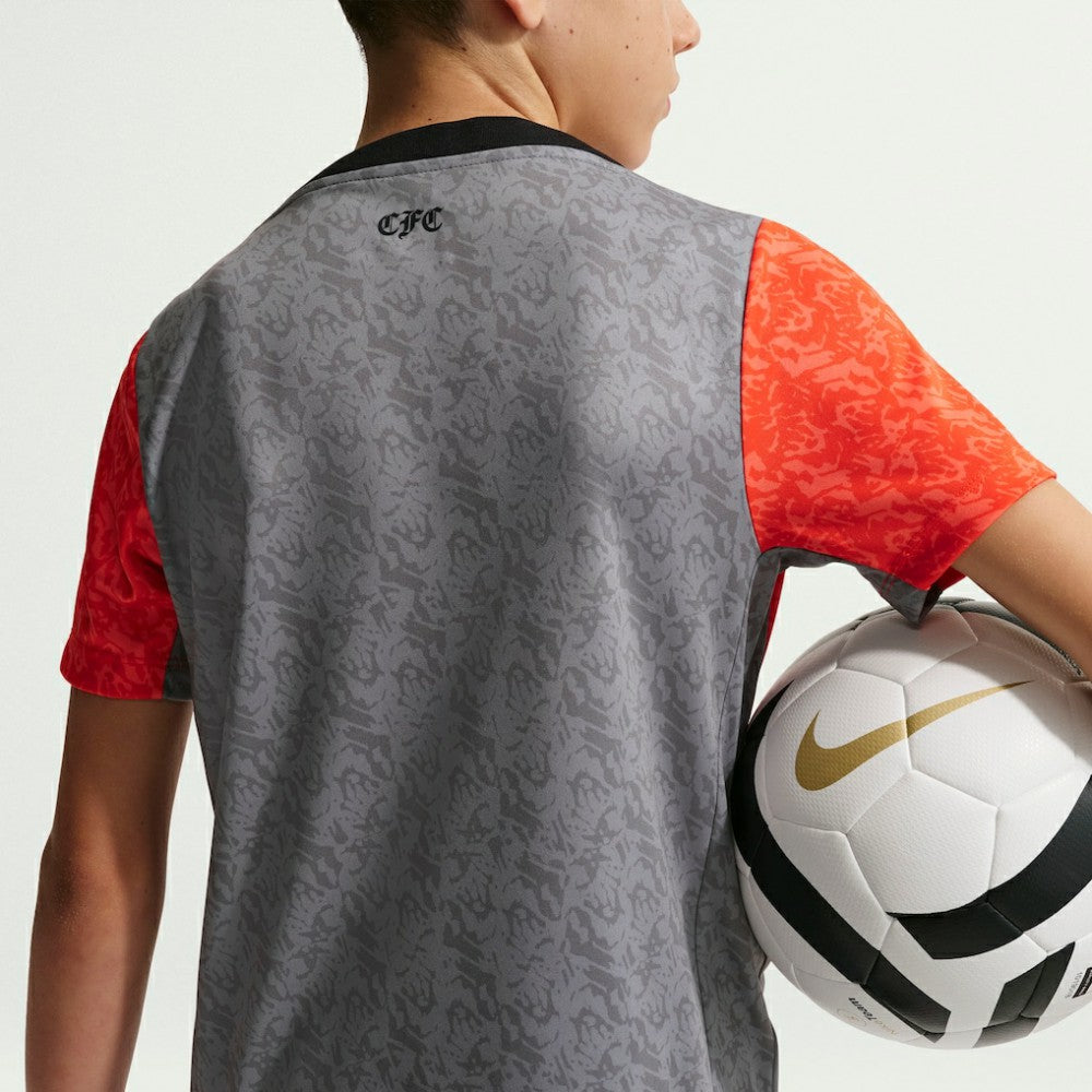 Chelsea Youth 2025/26 Academy Pro Pre-Match Top Gray - Nike
