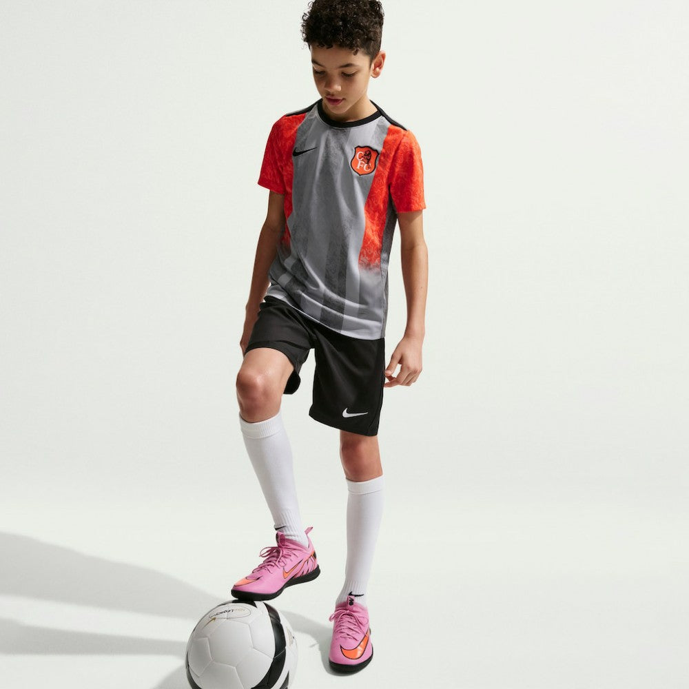 Chelsea Youth 2025/26 Academy Pro Pre-Match Top Gray - Nike