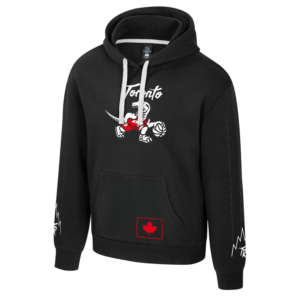 Toronto Raptors Stadium Essentials Unisex 2025/26 City Edition City Star Hoodie Discount