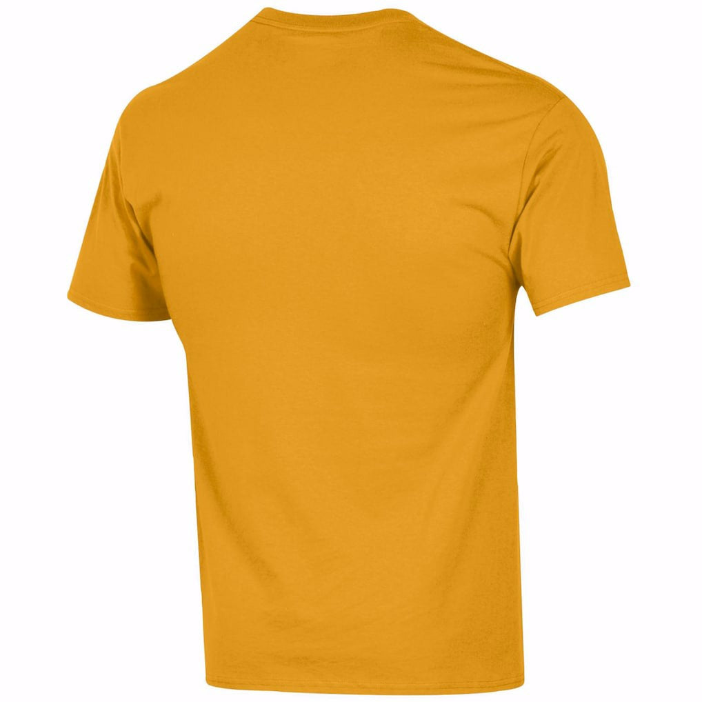 Minnesota Vikings Champion Football T-Shirt