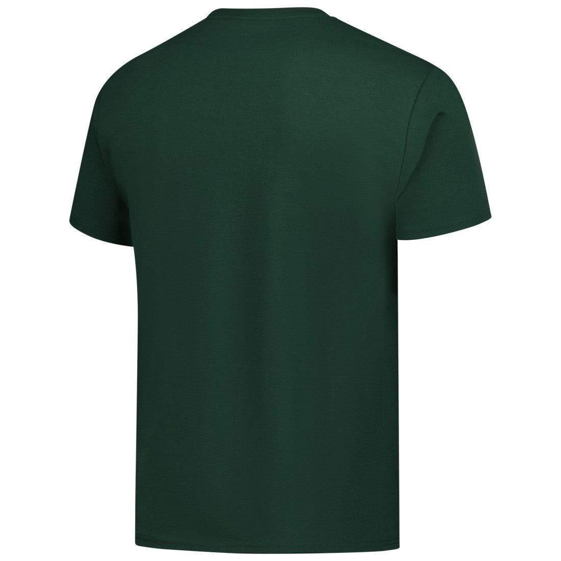 Green Bay Packers Champion Football T-Shirt