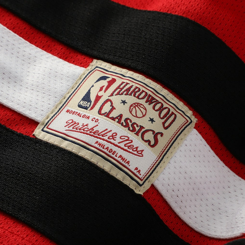 Dennis Rodman Chicago Bulls Big & Tall NBA Hockey Jersey For Sale