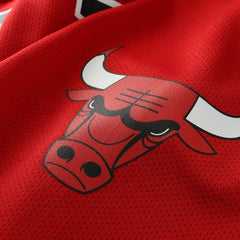 Dennis Rodman Chicago Bulls Big & Tall NBA Hockey Jersey For Sale