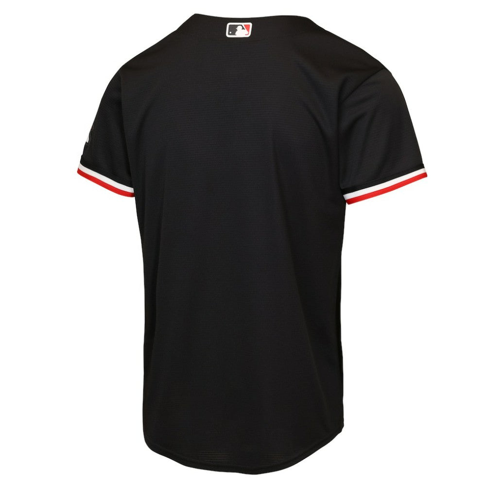 Minnesota Twins Nike Youth Alternate 2 Stadium Jersey | MLB On Sale